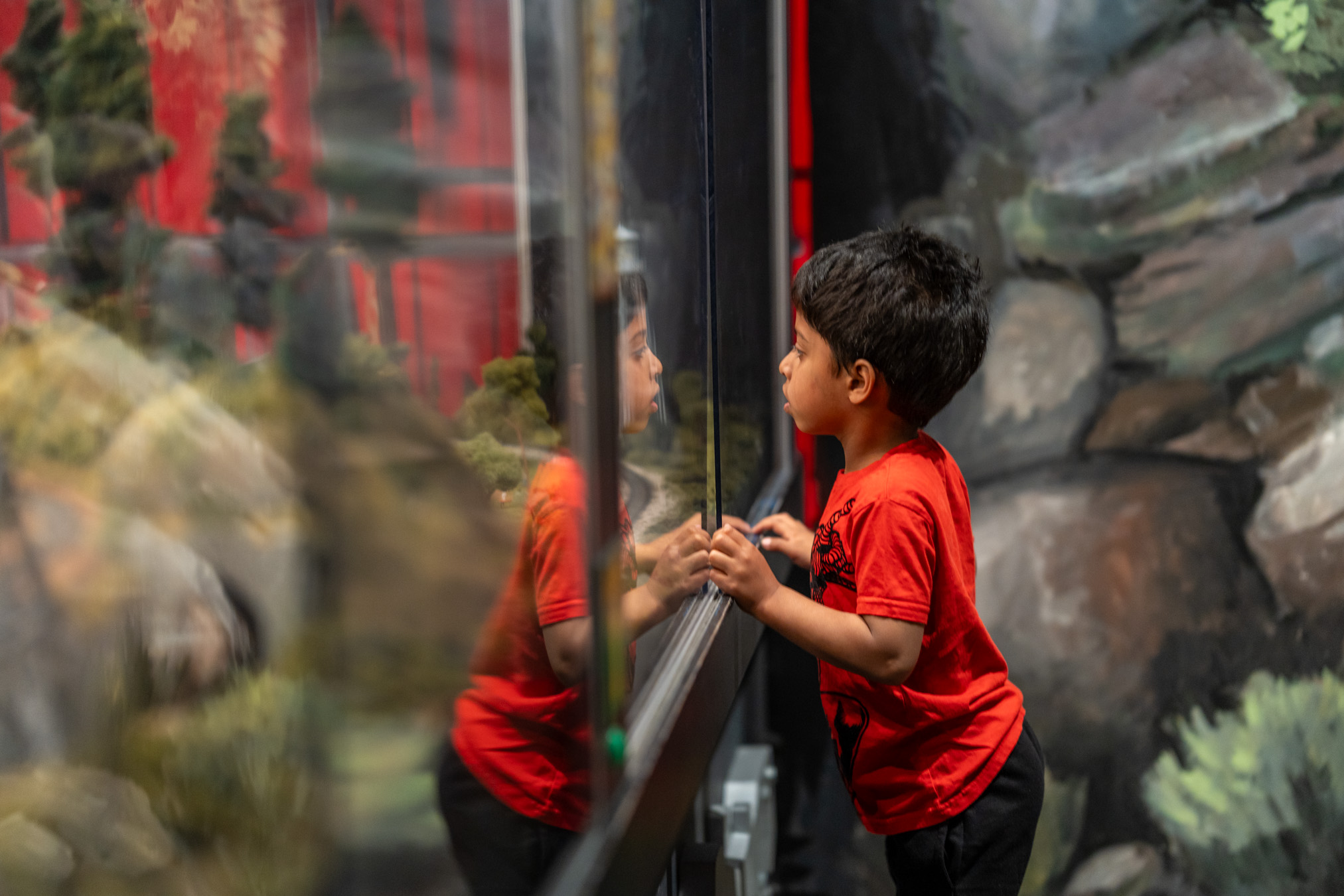 Snohomish County Mini Train Gallery