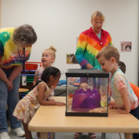 Little Vets, Big Hearts: A Week of Discovery at Imagine Children’s Museum