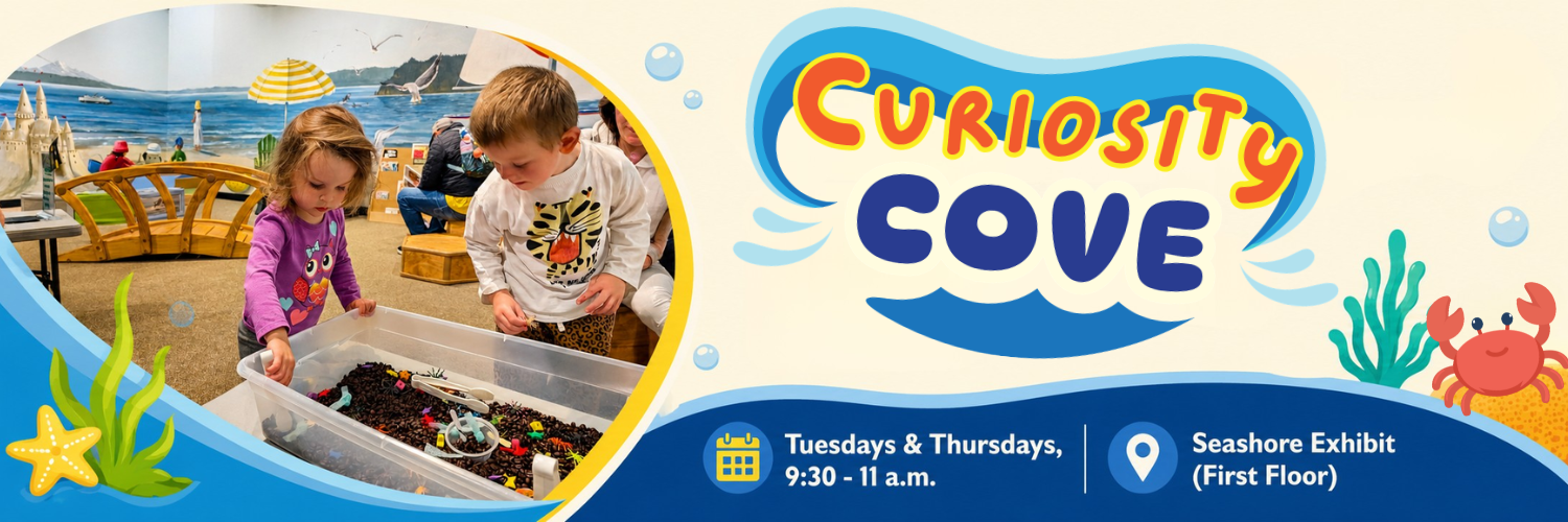 Curiosity Cove at Imagine Children's Museum